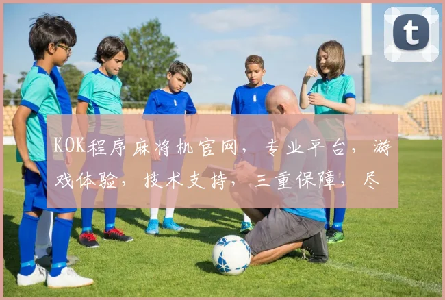 KOK程序麻将机官网，专业平台，游戏体验，技术支持，三重保障，尽在官网逗逗逗