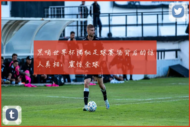 黑哨世界杯揭秘足球赛场背后的惊人真相，震惊全球