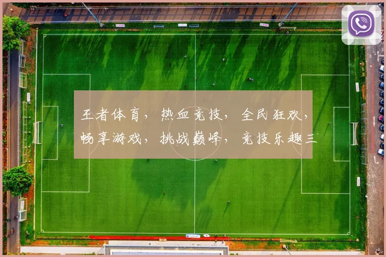 王者体育，热血竞技，全民狂欢，畅享游戏，挑战巅峰，竞技乐趣三重奏，不容错过