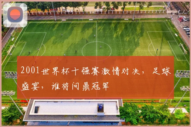2001世界杯十强赛激情对决，足球盛宴，谁将问鼎冠军