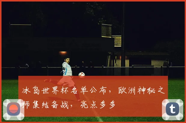 冰岛世界杯名单公布，欧洲神秘之师集结备战，亮点多多